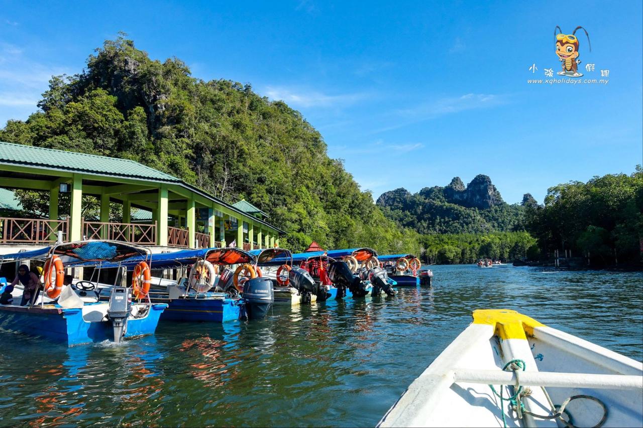 Jelajahi Mangrove Tour Langkawi: Keindahan Alam dan Ekosistem Pesisir